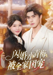 闪婚小青梅被全家团宠 封面