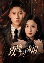 玫瑰藏于灰烬 封面