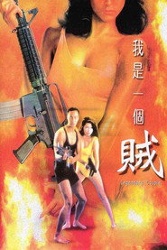 我是一个贼 封面