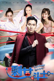 剩女斗士 封面
