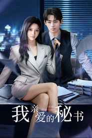 我亲爱的秘书 封面