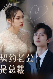 契约老公是总裁 封面