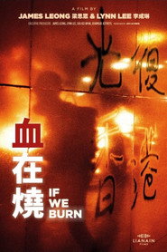 血在燒 封面