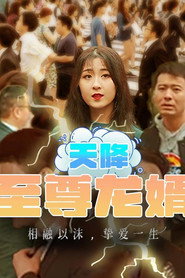 天降至尊龙婿 封面