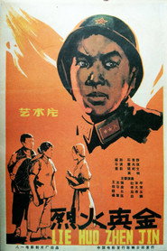 烈火真金 封面