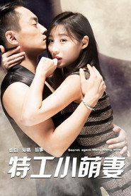 特工小萌妻 封面