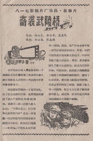 奇袭武陵桥 封面