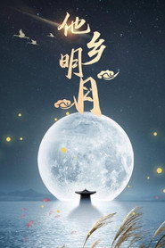 他乡明月 封面