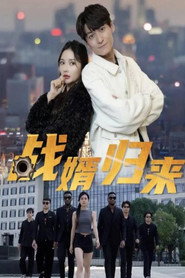 战婿归来 封面
