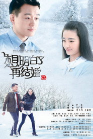 想明白了再结婚 封面