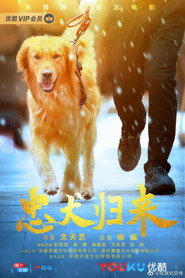 忠犬归来 封面