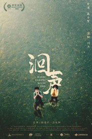 洄声 封面