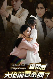 离婚后大佬前妻杀疯了 封面