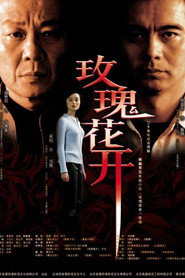 玫瑰花开 封面