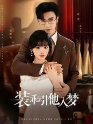 装乖引他入梦 封面