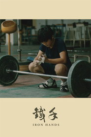 铁手 封面