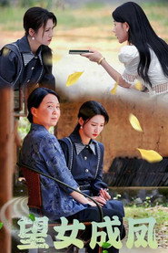 望女成凤 封面