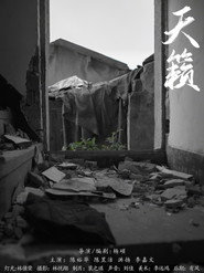 天籁 封面