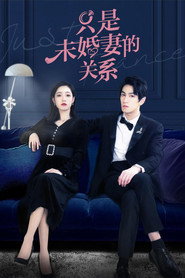 只是未婚妻的关系 封面