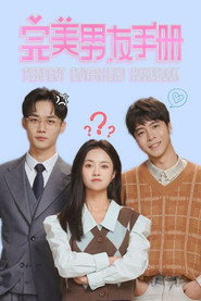 完美男友手册 封面
