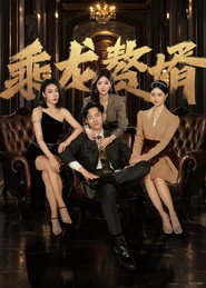 乘龙赘婿 封面