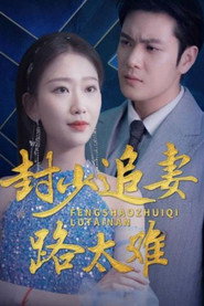 封少追妻路太难 封面