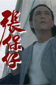 张保仔 封面