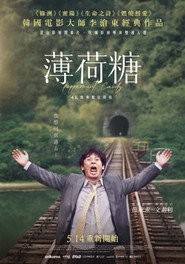 薄荷糖 封面