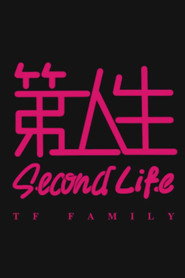 第二人生 封面