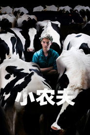 小农夫 封面