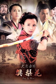 大唐女将樊梨花 封面