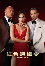 红色通缉令 封面