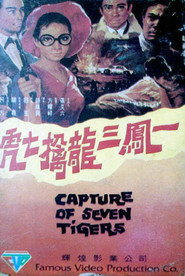 一鳳三龍擒七虎 封面