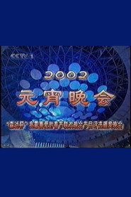2002年中央电视台元宵晚会 封面