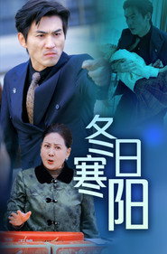冬日寒阳 封面