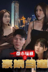 都市纵横之豪婿当道 封面