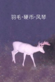 羽毛·硬币·风琴 封面
