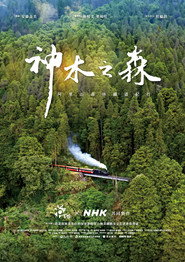 神木之森:阿里山森林铁道纪行 封面