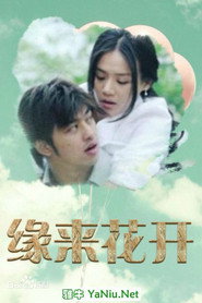 缘来花开 封面