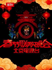 北京卫视春节联欢晚会 封面