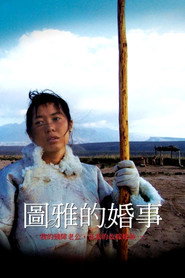 图雅的婚事 封面