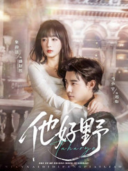 他好野 封面