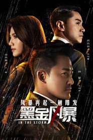 黑金风暴 封面