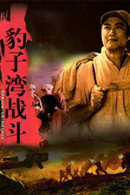 豹子湾战斗 封面