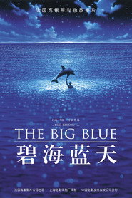 碧海蓝天 封面