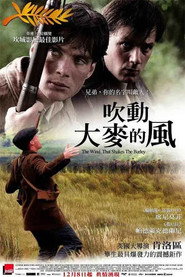 风吹麦浪 封面
