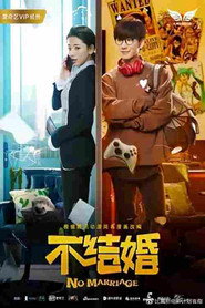 不结婚 封面