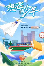 想飞的少年 封面
