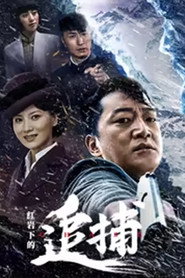 红岩下的追捕 封面