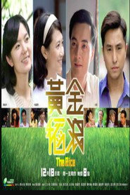 黄金稻浪 封面